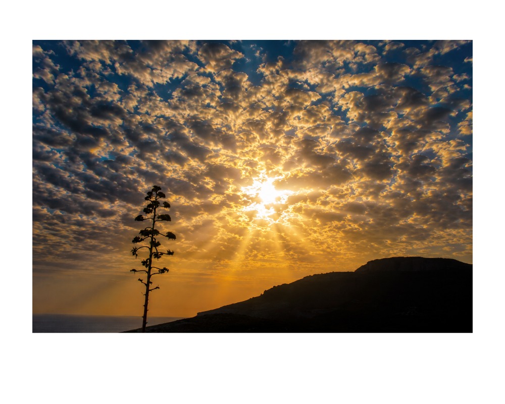 Naturaleza 1