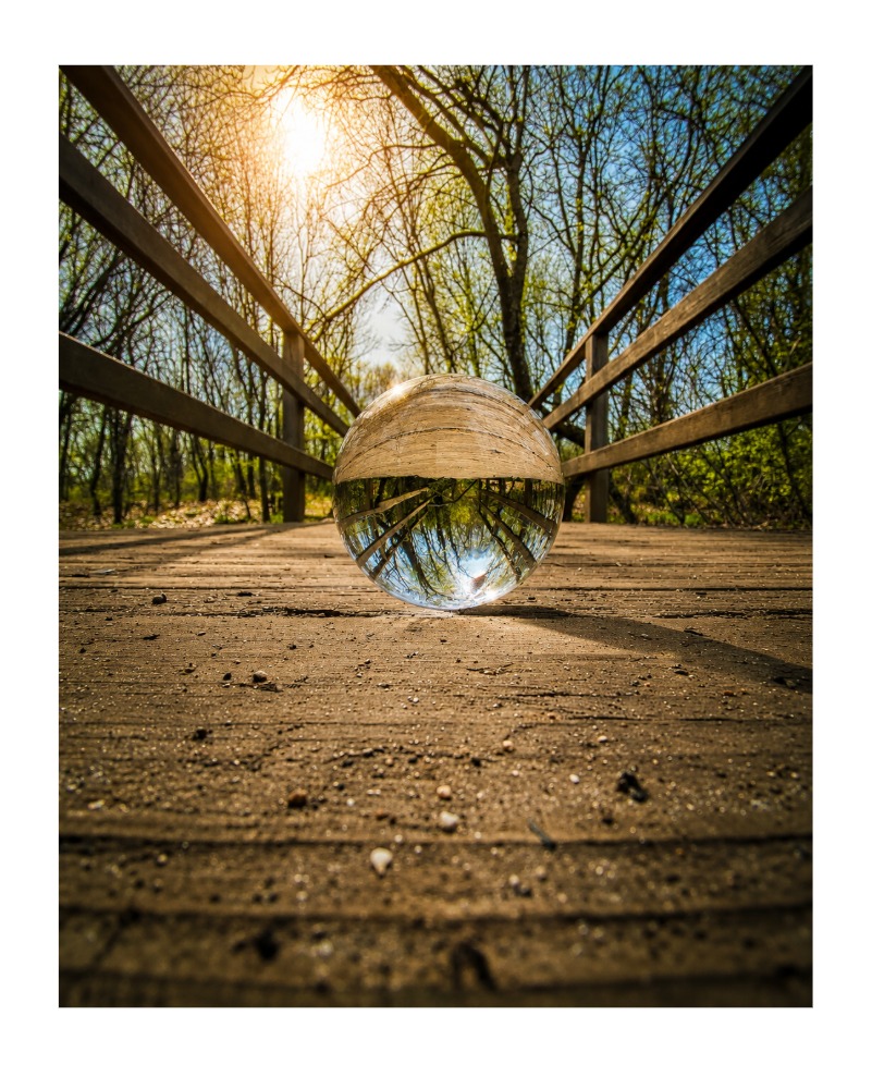 Naturaleza 5